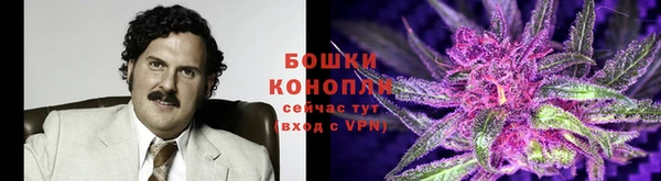 COCAINE Бородино