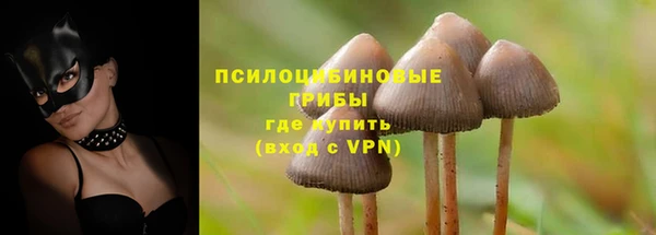 MDMA Premium VHQ Бронницы